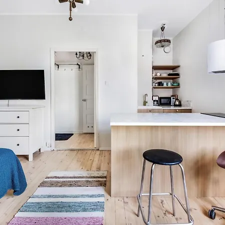 Wehost Modern And Well-equipped Studio With A View @viides Linja 3 Apartment Helsinki